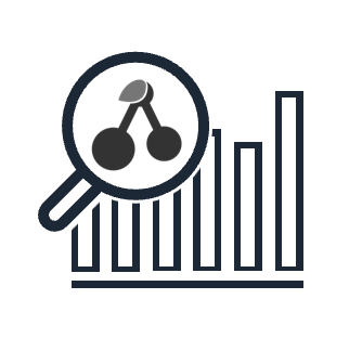 Analytics API icon